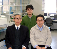 京都薬大の谷口教授（左）、北村助教授（右）、高田助手（中央）
