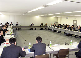 第10回新型インフルエンザ専門家会議
