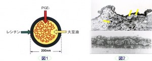 プロスタグランジンE1(PGE1)封入ナノ粒子製剤