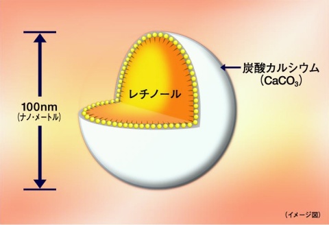 レチノールナノカプセルの構造