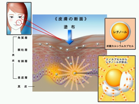 画像出典：ロート製薬株式会社