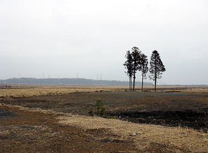 hln201203190104