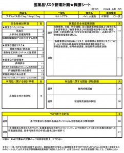 RMP概要シートの具体例