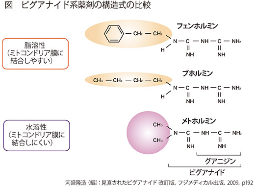 図　ビグアナイド系薬剤の構造式の比較