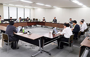 薬事・食品衛生審議会医薬品等安全対策部会安全対策調査会