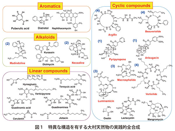 図1　特異な構造を有する大村天然物の実践的全合成