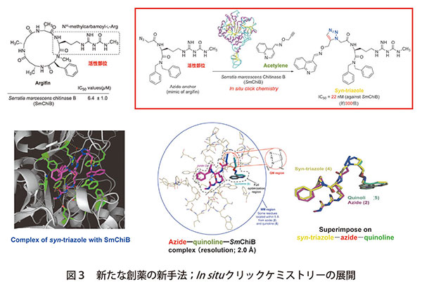 図3　新たな創薬の新手法；In situクリックケミストリーの展開