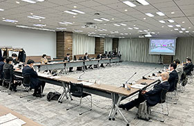 有識者検討会