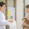 動物薬剤師の可能性