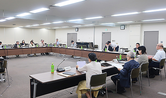 厚労省検討会議