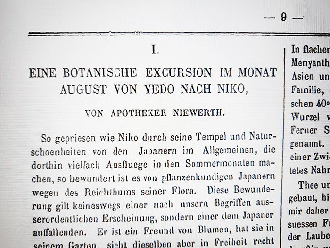 写真3　Niewerth “Yedo nach Niko”