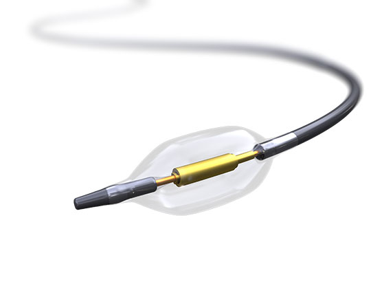 Paradiseカテーテル