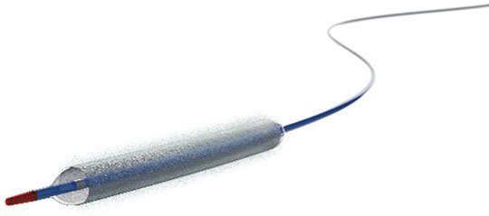 Agentパクリタキセルコーティッド バルーンカテーテル