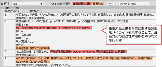 患者個別の監査画面イメージ（診療録）