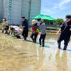 田植え作業中