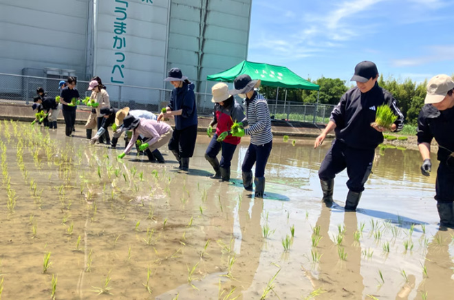 田植え作業中